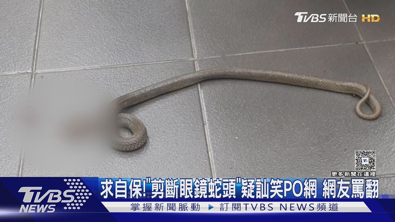 影音／ 獨／受到攻擊！「剪斷眼鏡蛇頭」疑訕笑PO網遭罵翻　業者回應了