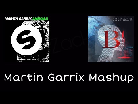 Martin Garrix vs Blinders - Animals vs Breach (Walk Alone) (Martin Garrix Mashup)V1