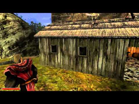 Let's Play Gothic II [German] Part 108: Dexter's Lager