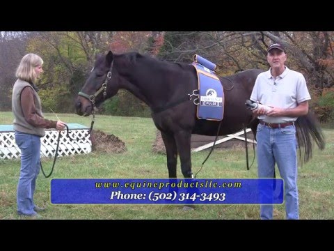 download lagu mp3 mp4 Niagara Equissage, download lagu Niagara Equissage gratis, unduh video klip Niagara Equissage