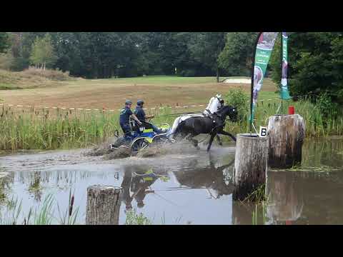 TIMMERMAN Theo, NED, CAI2# Exloo, H2, Marathon Ob 2, 15 08 2020