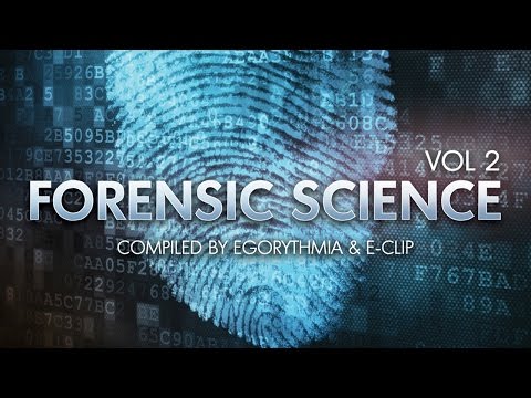 Ace Ventura & Darma - Acidcore (Egorythmia Remix)