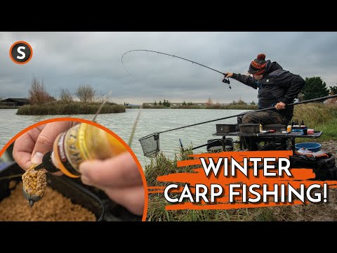 Winter Method Feeder Tricks! | Zac Brown