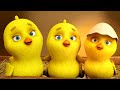 Los Pollitos Dicen Pio Pio Canciones Infantiles Para Niños