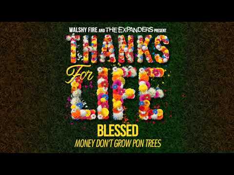 Blessed - Money Don't Grow Pon Trees |  Thanks For Life Riddim