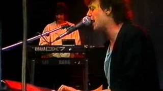 Purple Schulz Live: Nie genug 1988