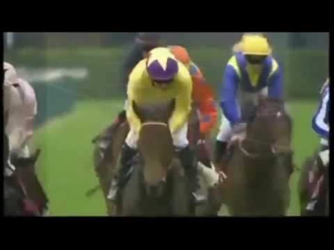 Top 20 Arc De Triomphe Winners 1955 - 2017