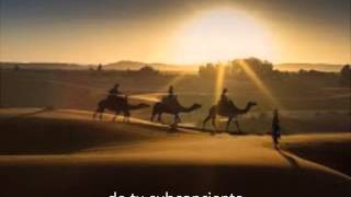 Ecos de la luz - Metalica