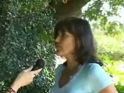 Características fundamentais na formação do educador ambiental - Aline Viégas