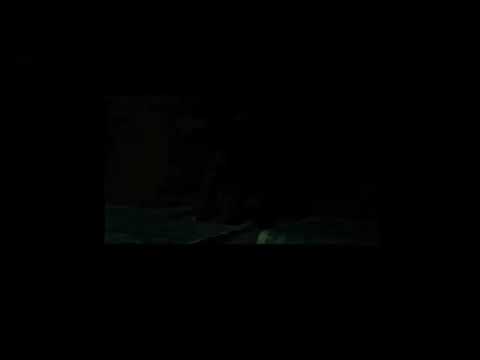 Groove Tube Let Your Fingers Do It old yellow pages spoof