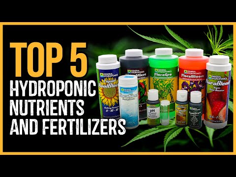 Best Hydroponic Nutrients 2023 | Top 5 Best Hydroponic Nutrients and Fertilizers Review
