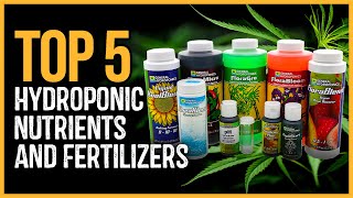 Best Hydroponic Nutrients 2023 | Top 5 Best Hydroponic Nutrients and Fertilizers Review