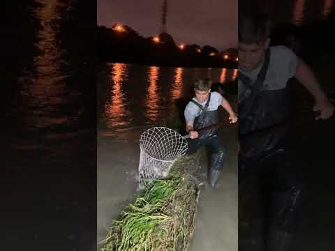 Reel tagged #fish
