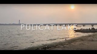 preview picture of video 'Pulicat Lake | Boating | Tamilnadu'