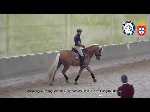 220428 10 Proj Ensino APSL&FEP - Luis Fernandes com Lavrador