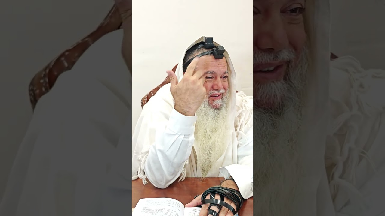 שער הביטחון | סבב שני - פרק 222
