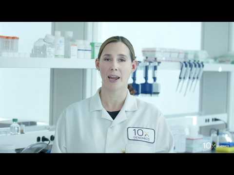 Visium Spatial Gene Expression Protocol | cDNA Amplification