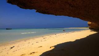 No sweat - Phil Carmen