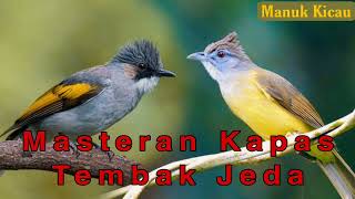 Download lagu Masteran Murai Batu Suara Kapas Tembak Jeda 1-2 Menit Nembak Rapet mp3 Download lagu Masteran Murai Batu Suara Kapas Tembak Jeda 1-2 Menit Nembak Rapet mp3