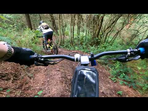 Raitan con espectadores