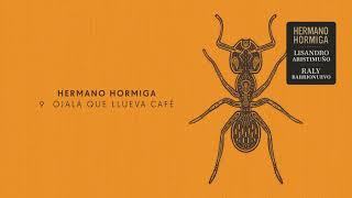 Hermano Hormiga - Ojalá que llueva café