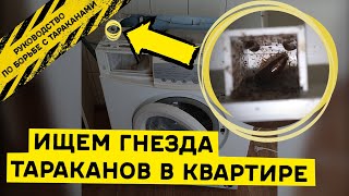 Где прячутся тараканы в квартире и как выглядят их гнезда.