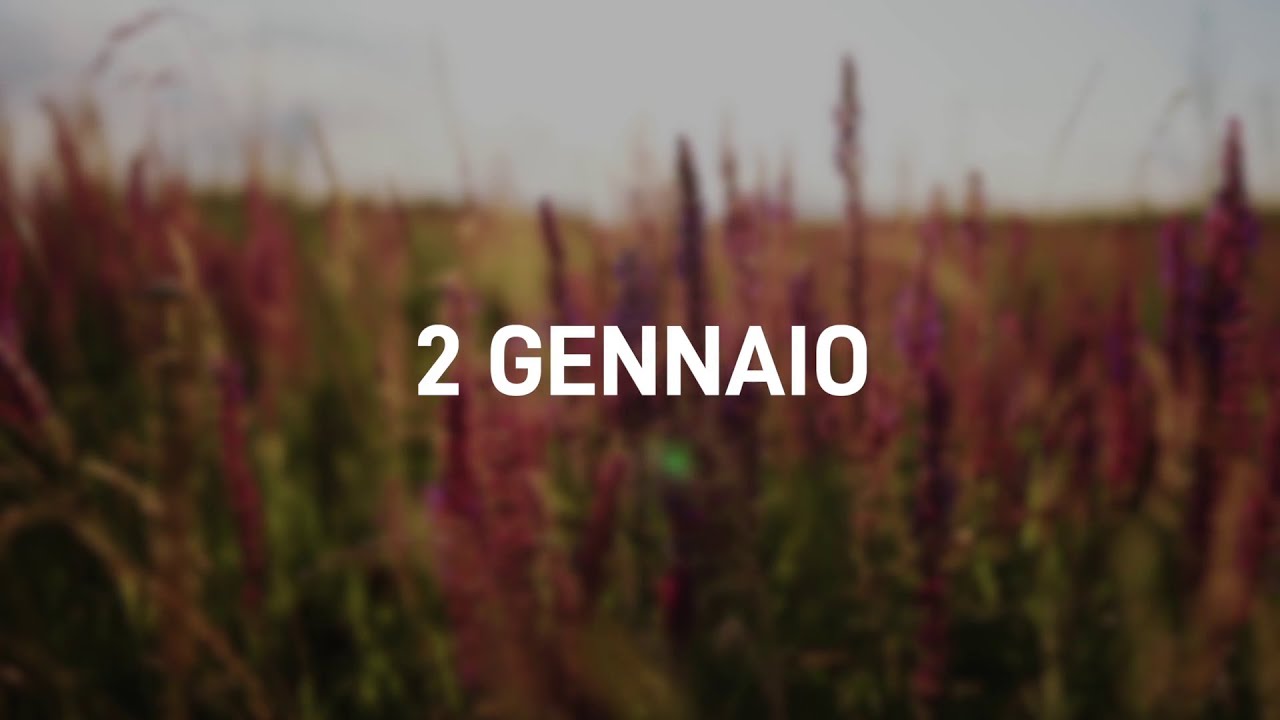 02 Gennaio 2025 | Meditazione Parole di Vita