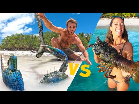 GIANT CRAB vs LOBSTER (Catch & Cook)
