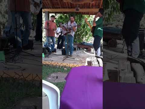 Poxoréu mato grosso