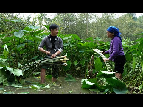 The poor single elderly woman didn't know: the person helping her was a famous CEO.