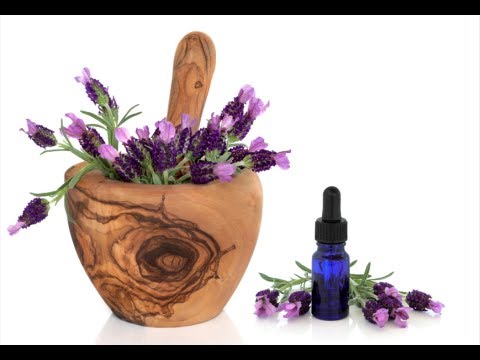 How to Make Lavender Oil -Lavender Essential Oil