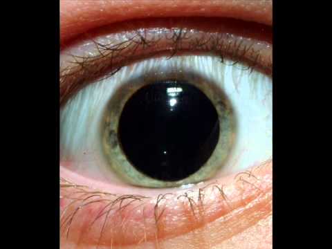 PKA Project - Un Mundo Diferente