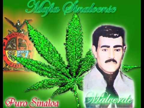 Banda ms   La Imagen de malverde