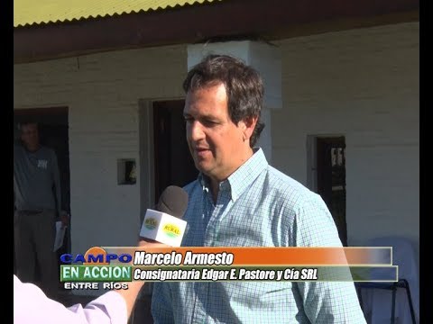 Remate Cabaña Bototi Picu - Marcelo Armesto