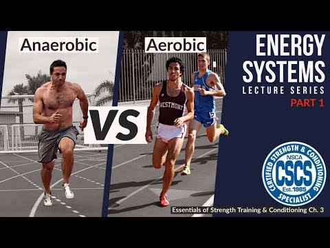 Bioenergetics of Training: 3 Energy Systems | CSCS Chapter 3