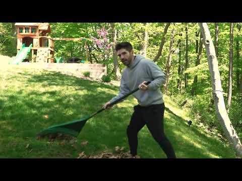 Bdubs loves to rake leaves