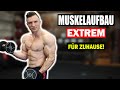 Oberkörper Workout für Zuhause mit Kurzhanteln | 20 Minuten