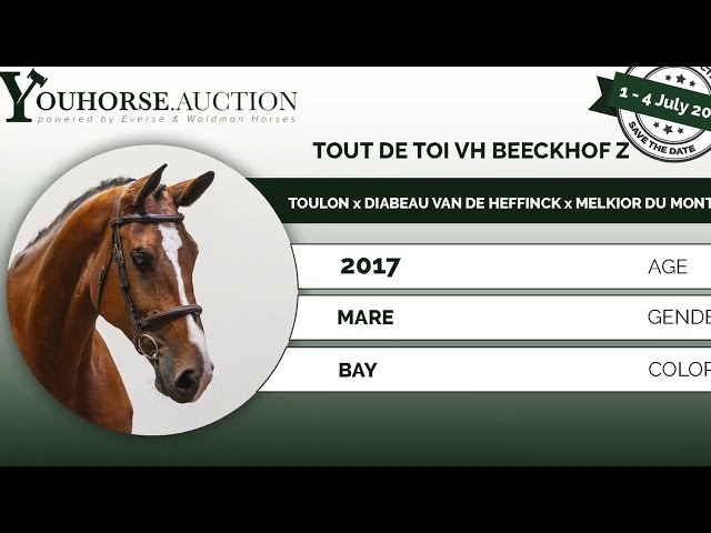 Tout de Toi @ show