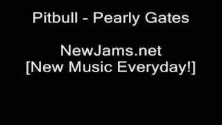 Pitbull - Pearly Gates (We&#39;re in heaven Remix 2009)