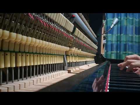 Kawai BL31 - Abel hammers