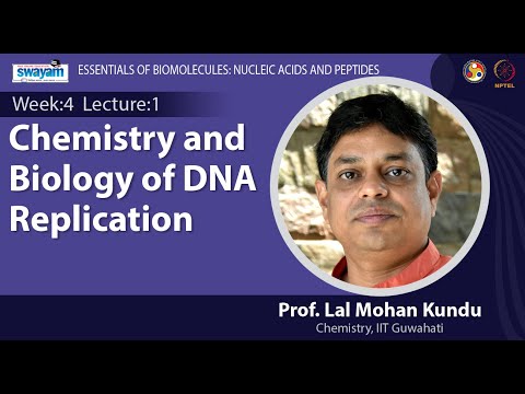 Essentials of Biomolecules Nucleic Acids and Peptides