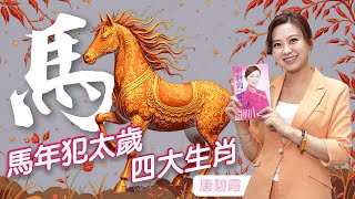 馬年犯太歲四大生肖 ｜犯太歲必做一件事可逢凶化吉｜屬x犯兩重太歲 ｜屬兔又犯太歲 ｜攝太歲吉日｜犯太歲自救方法｜化解方法