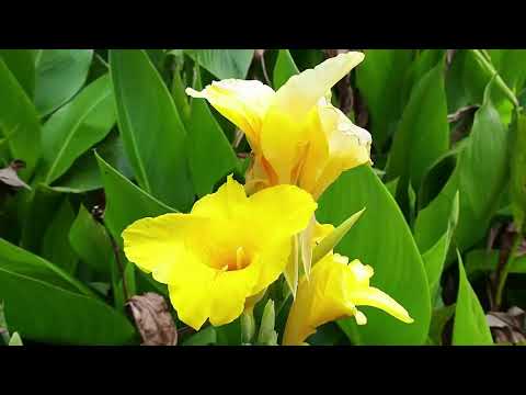 Take 5 at Discovery Parks - Ulladulla with @ozroamerz