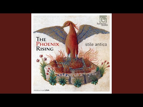 O clap your hands together