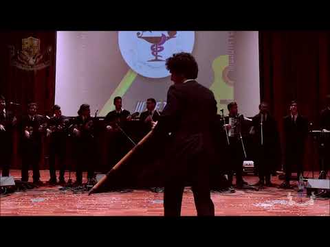 Tuna de Farmácia do Porto - Fairy Tail