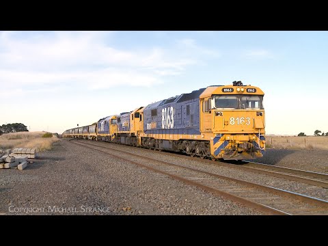 7731V Pacific National Grain Train With  8163 X48 8160 Arrives At Gheringhap (19/6/2024) - PoathTV
