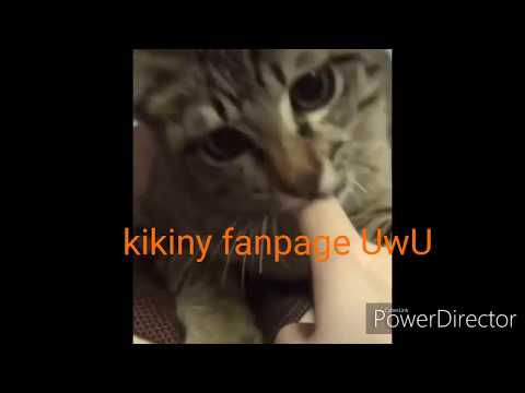 Cringe kompilace - gachalive (cringe warning xdd)