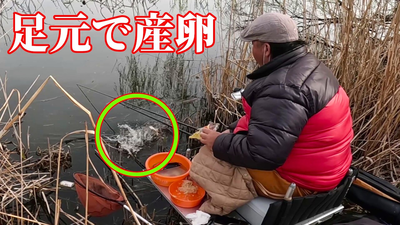 足元ハタキ！春のへらぶなを狙う乗っ込みの釣り