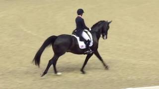 CDIO de Rotterdam : belges, allemands et américains au départ