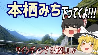 【ゆっくりドライブ】本栖みち走るよ！